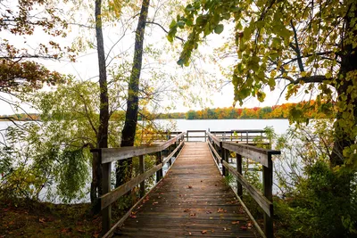A serene wooden walkway amidst colorful fall foliage by a lake in Minnesota.